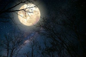 ​晚上看月亮的经典句子 关于月亮的短句唯美