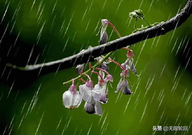 咏春雨的诗句（分享10首关于春雨的古诗词）